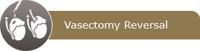 Vasectomy Reversal